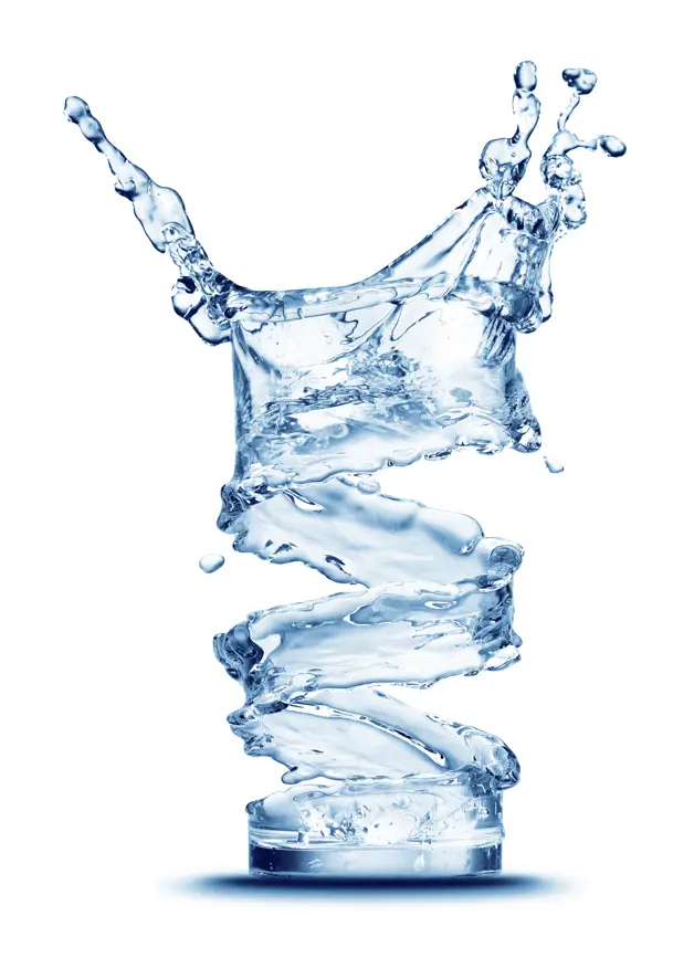 Shutterstock 520871302