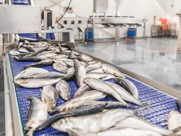 Fullres Den Dulk 0047