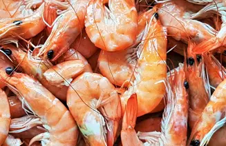 GOOGLE Tropische Garnalen